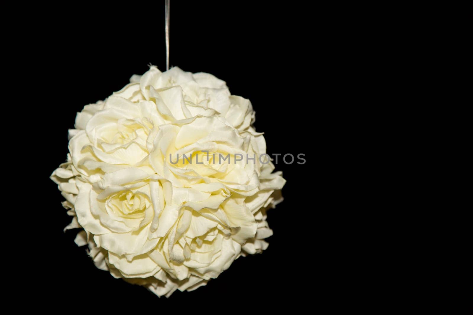 View of a bouquet of white roses on a black background