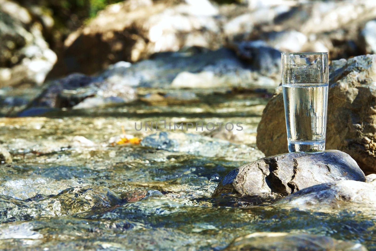 Water glass by a stream
