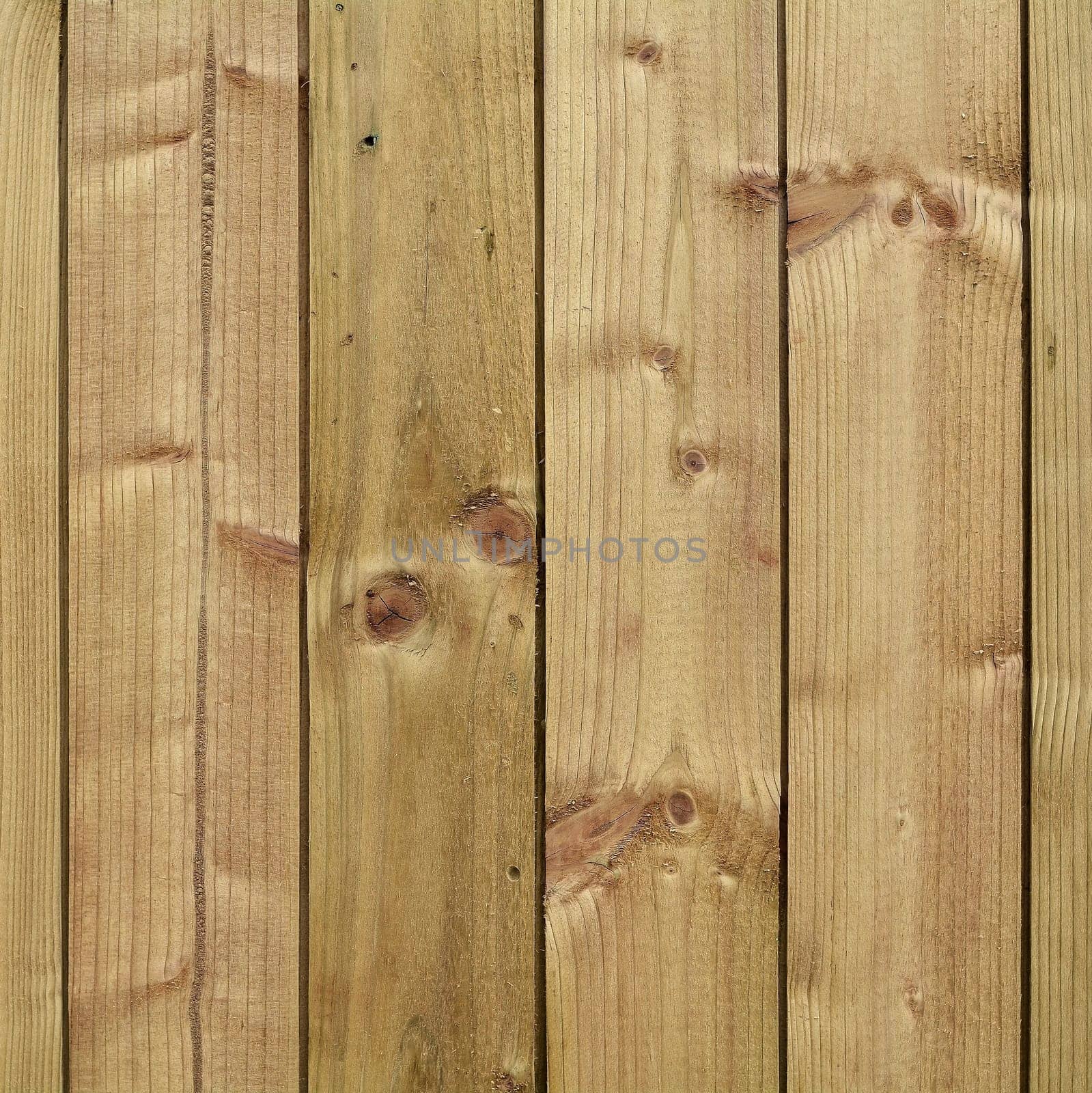 Boards on a wooden fence