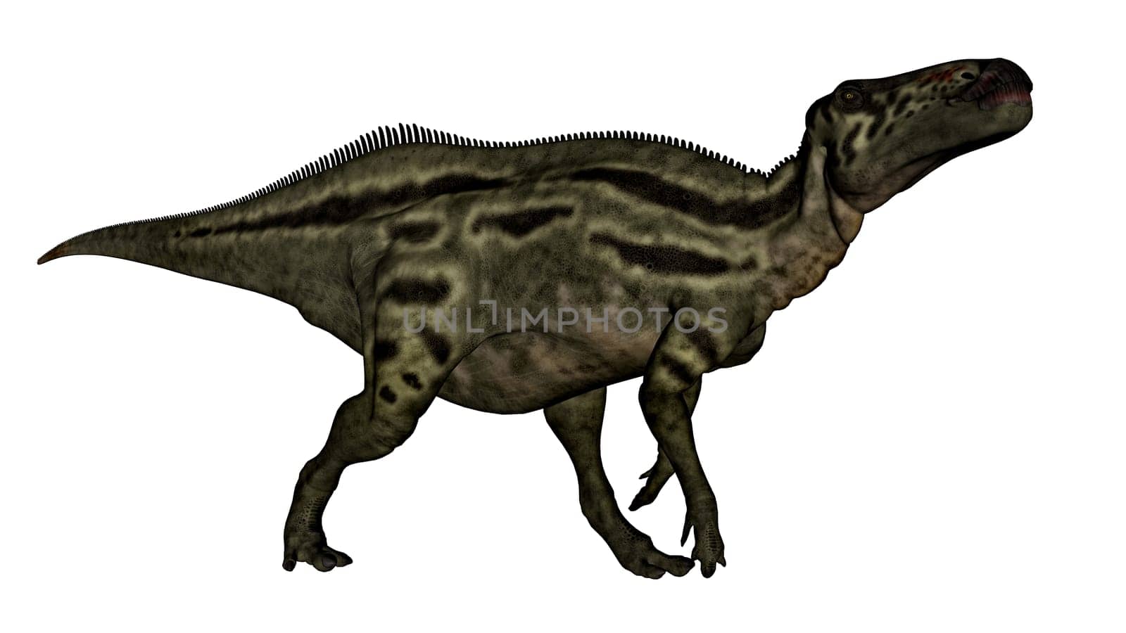 Shantungosaurus dinosaur walking isolated in white background - 3D render