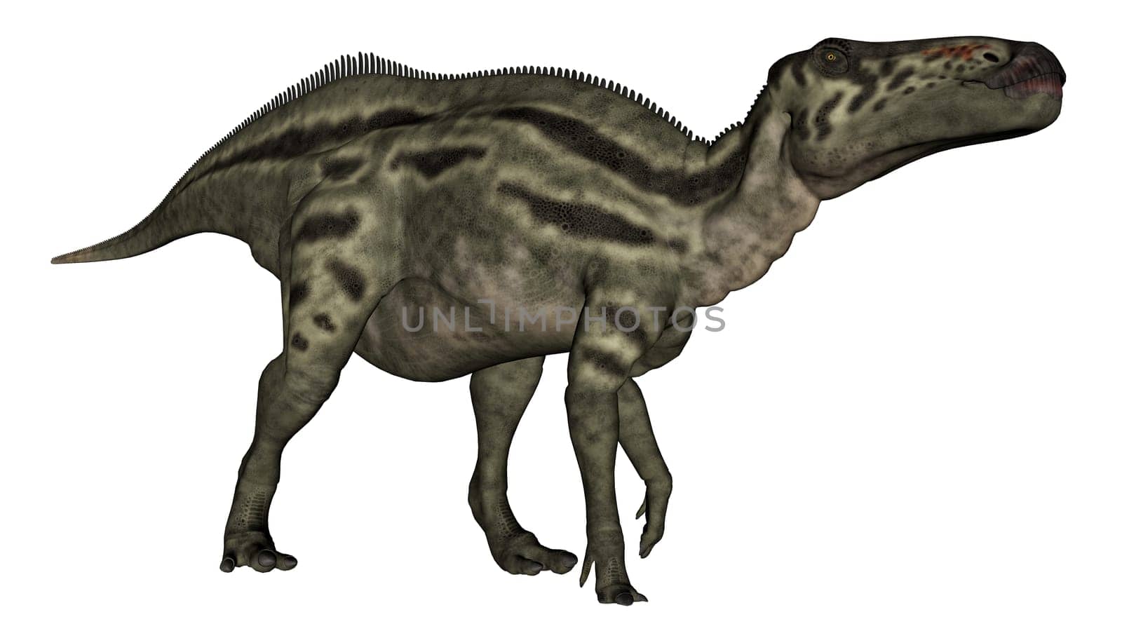 Shantungosaurus dinosaur vigilent isolated in white background - 3D render
