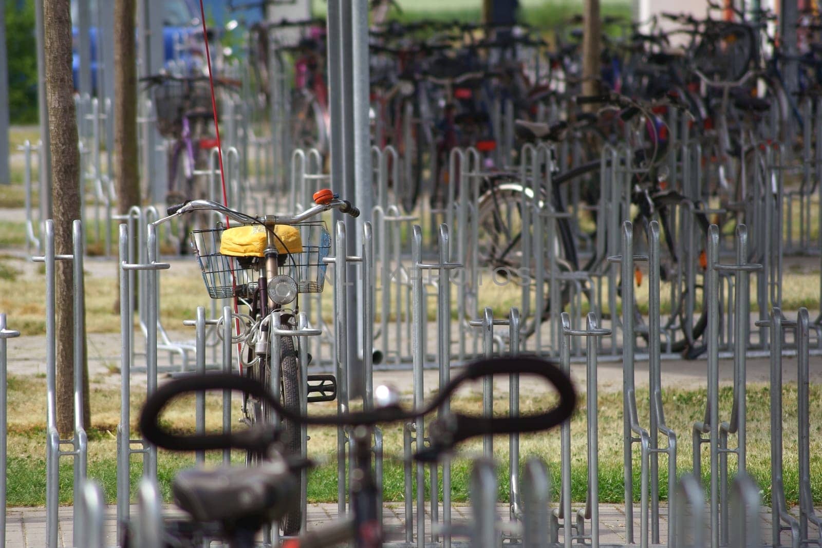 A bicycle shelter with many bicycles and bike racks.