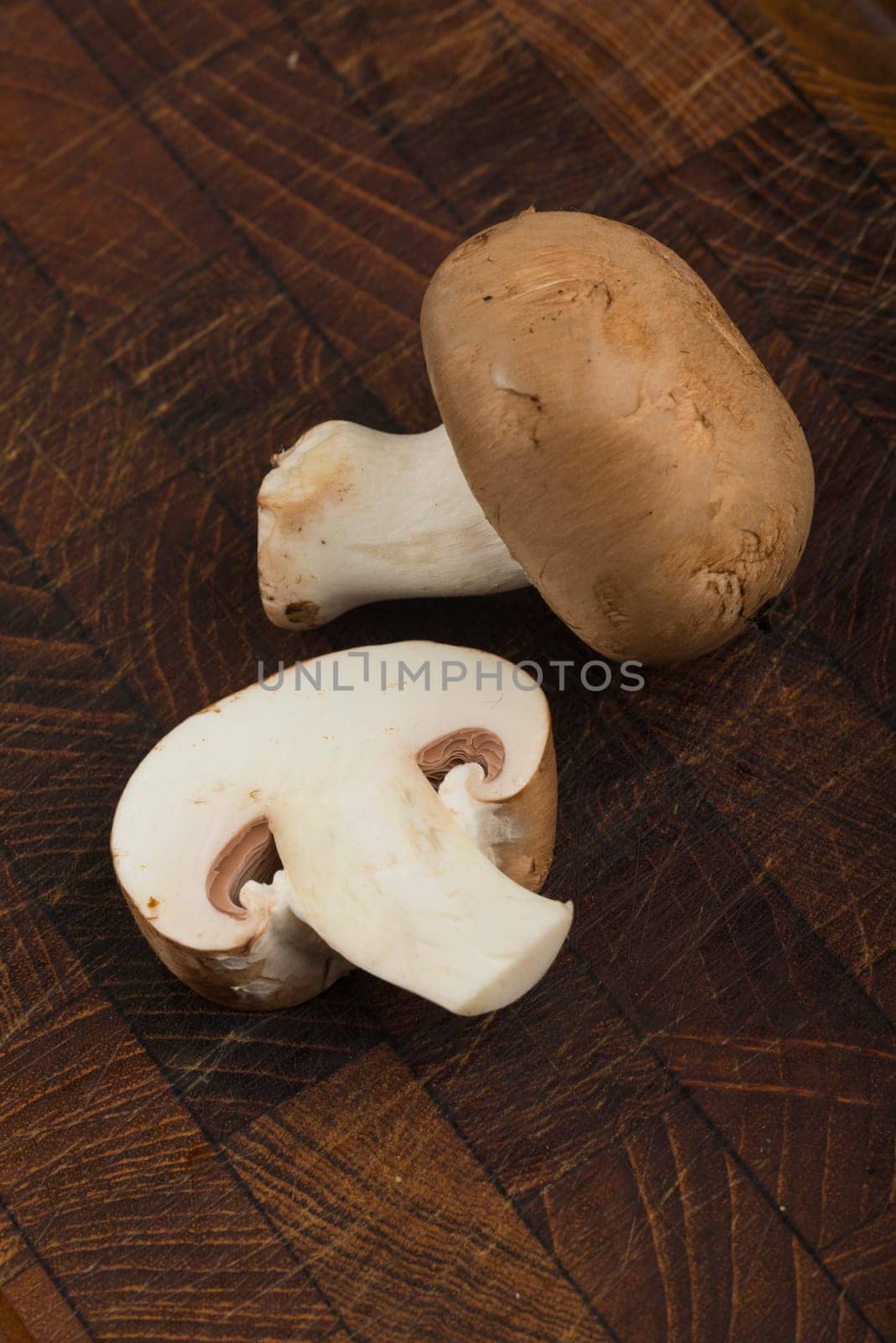 some mushrooms in closeup