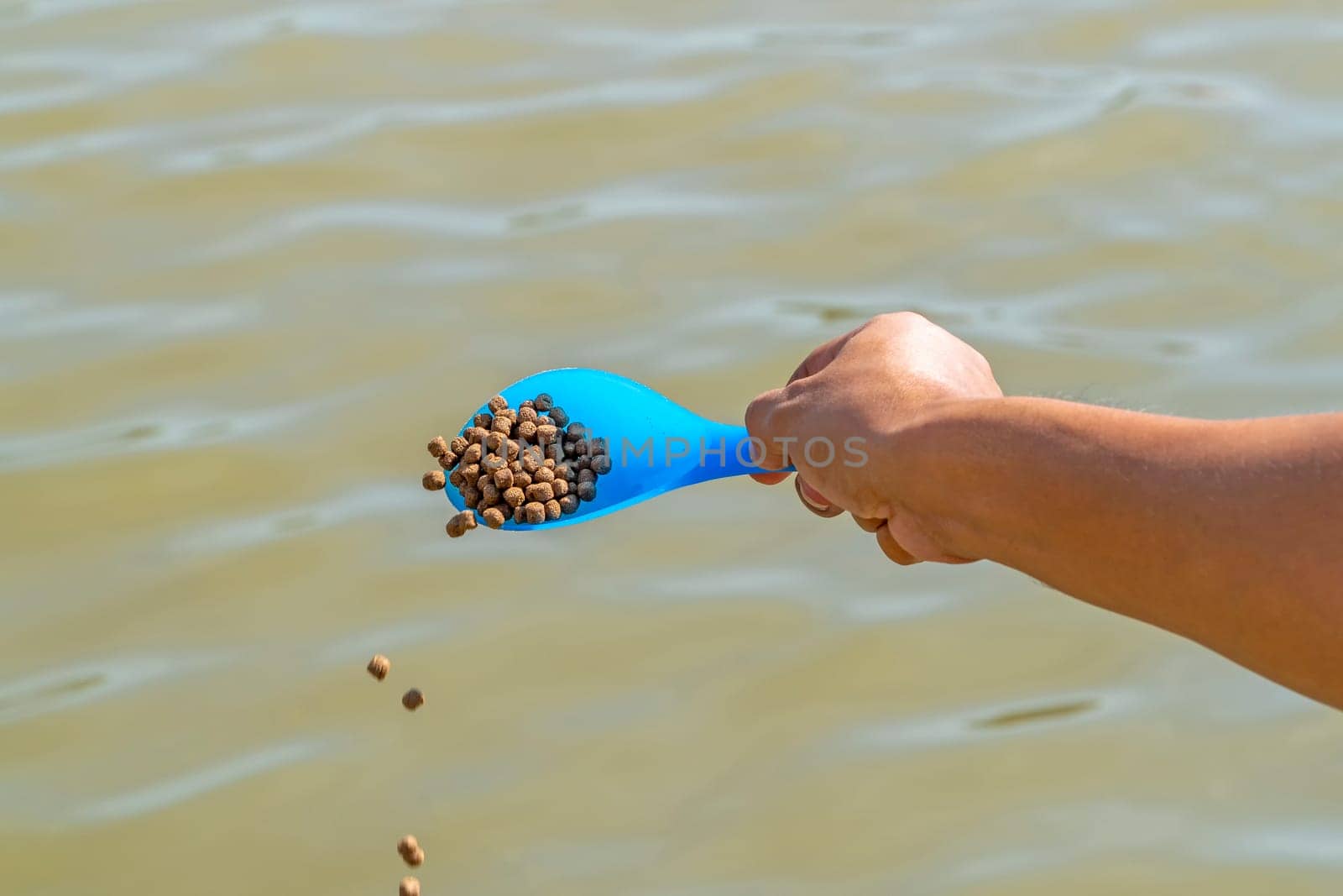 Use a blue spoon to feed the fish.