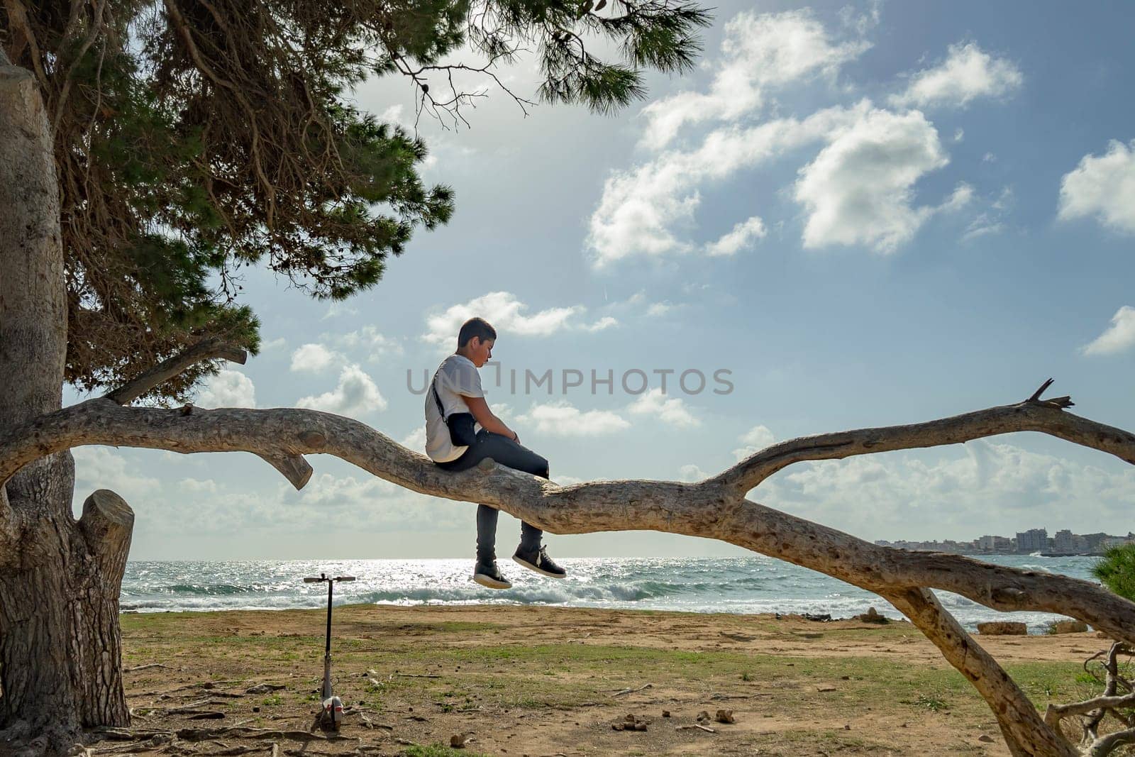 teenager climbing a tree against the blue sky in front of the sea
