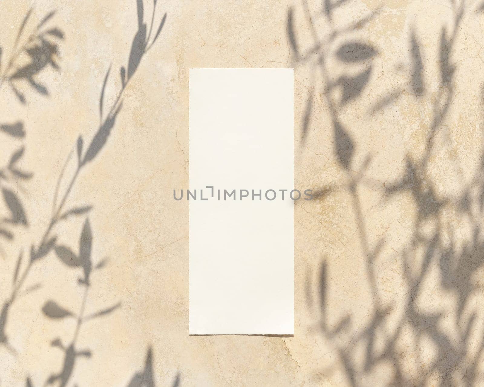 Blank paper card on a concrete table decorated with olive branches with fruits top view, mockup. Sunny summer mediterranean scene with wedding menu card. Flat lay with place for text