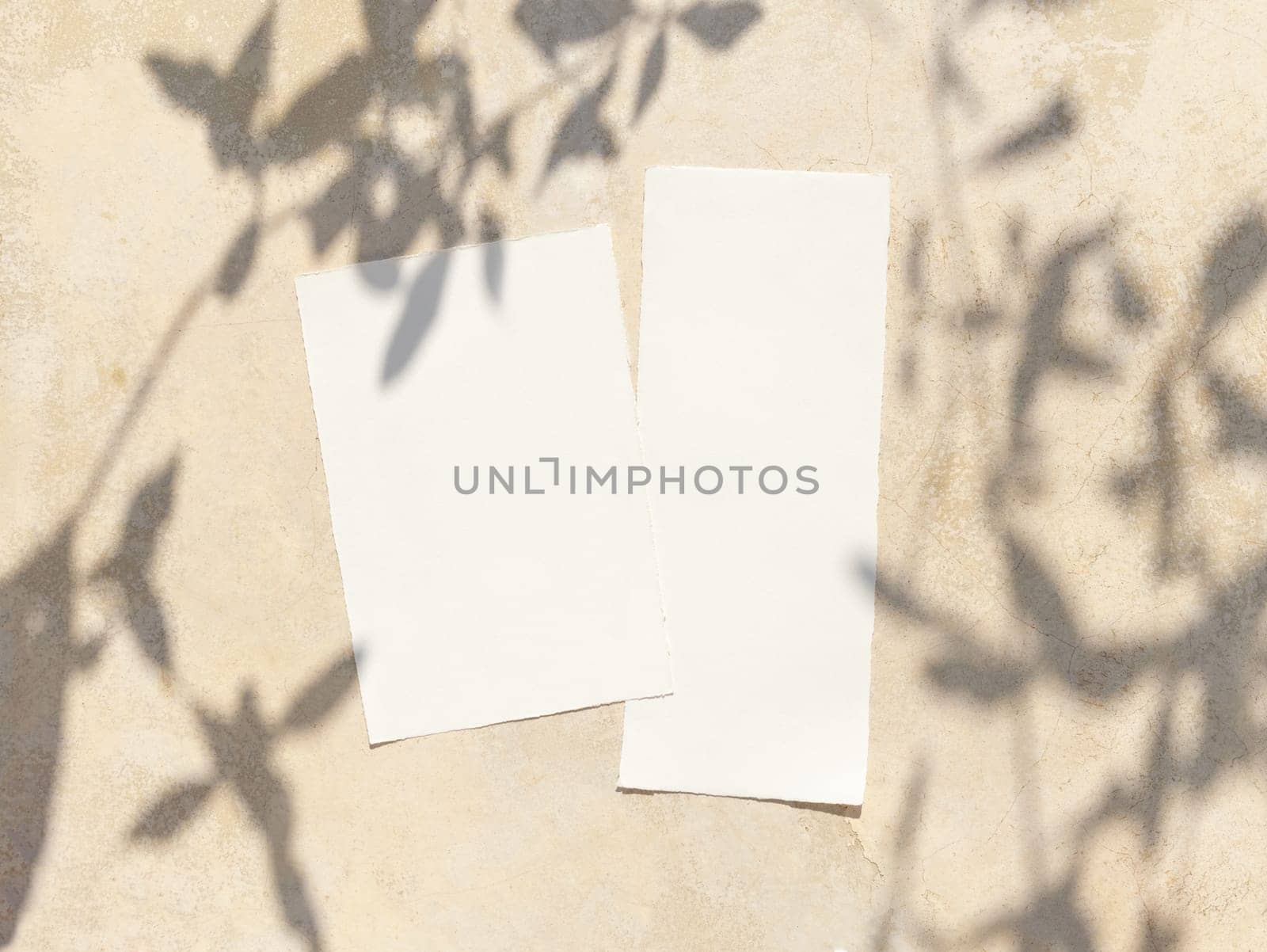 Blank paper cards on a concrete table decorated with olive branches with fruits top view, mockup. Sunny summer mediterranean scene with wedding stationery set. Flat lay with place for text