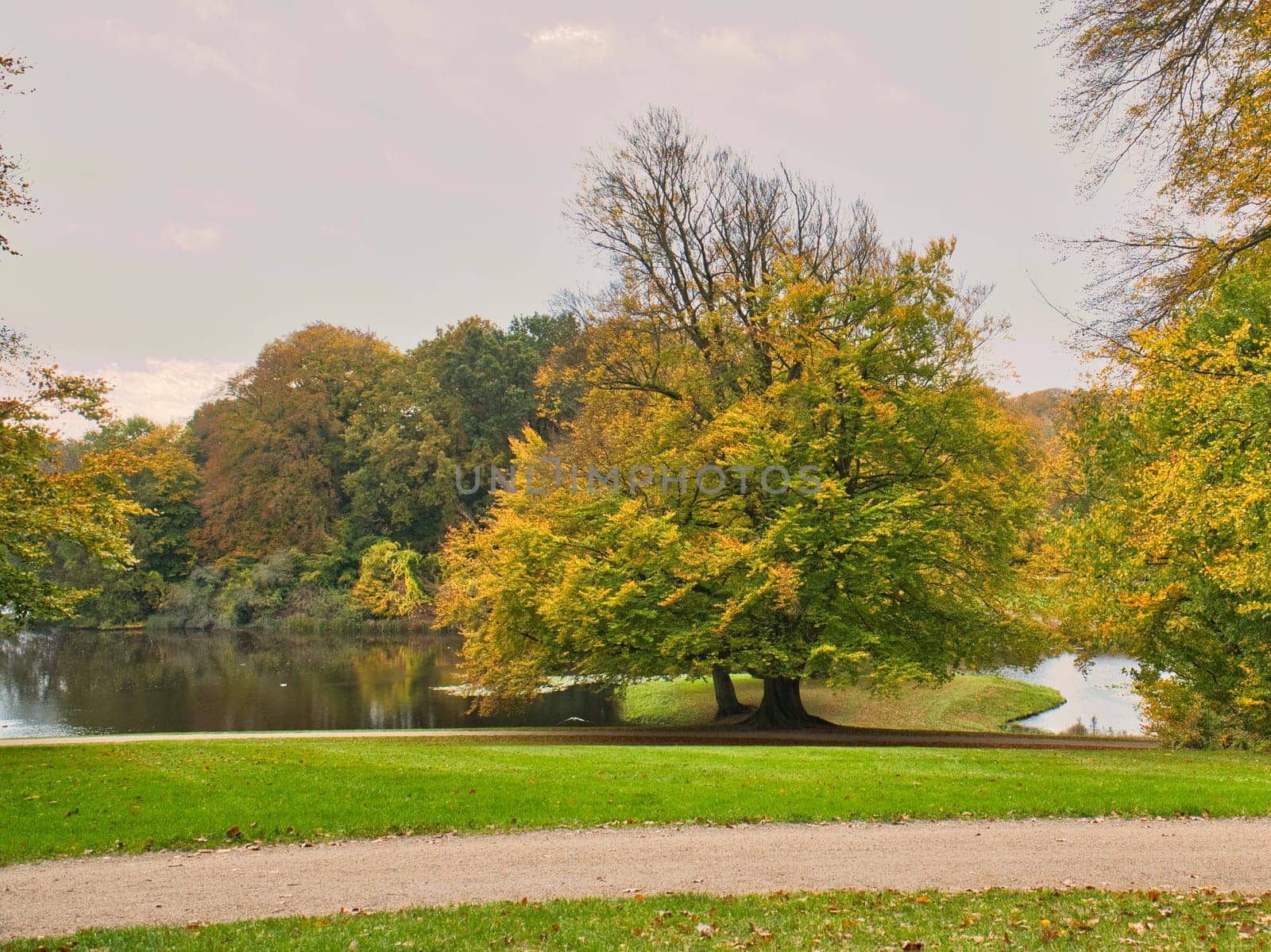 Frederiksborg Castle Park in autumn with mighty deciduous trees on the garden meadows. Colorful colors of the leaves. Walk in Denmark