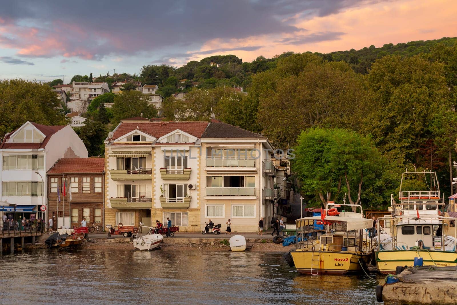 View of the mountains of Kinaliada island from Marmara Sea, with traditional summer houses and boats, Istanbul, Turkey