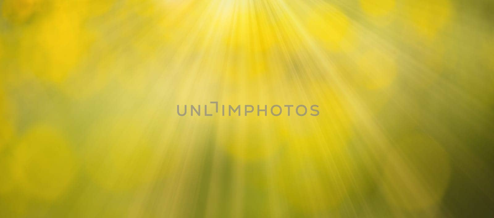 Yellow and green bokeh background, spring season, defocused fairy lights and sunbeams, flare overlay