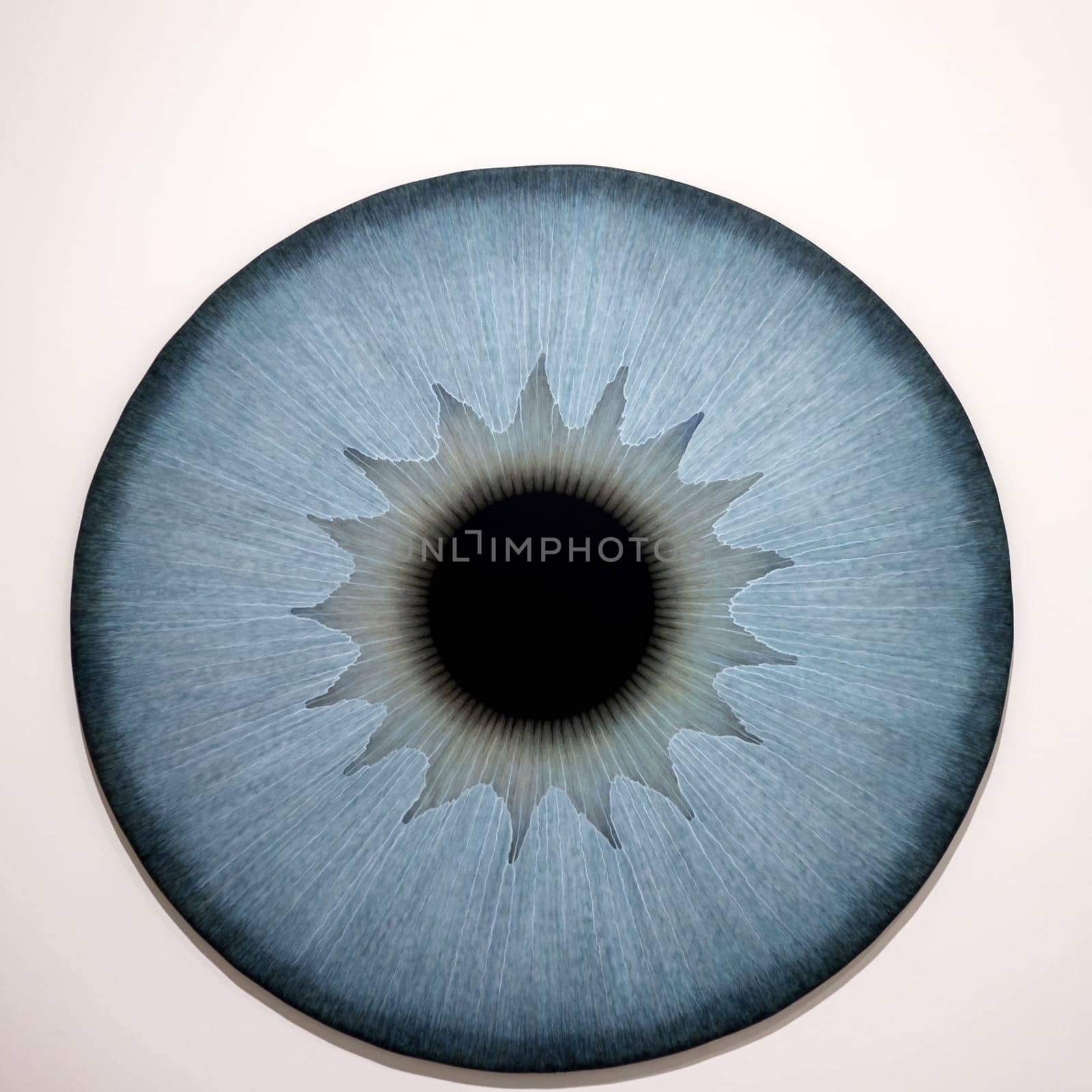 Venice, Italy - Septr 6, 2022: 59th Venice Art Biennale in Venice.A series of eyeball paintings entitled Iris by Swedish artist Ulla Wiggen. Acrylic on panel
