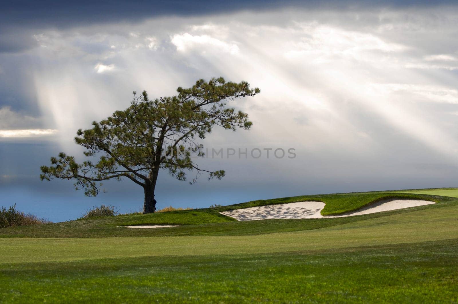 View Over The Pacific Ocean from Torrey Pines Golf Course.