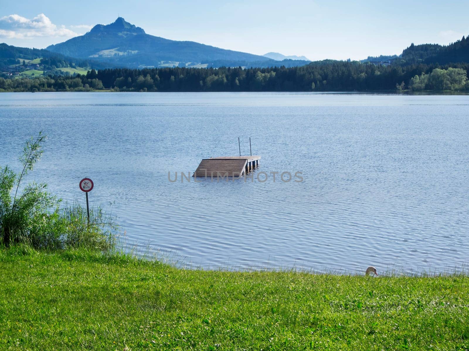 Landscape view with a view of the first foothills of the Alps at Grüntensee during flooding after heavy downpour in Bavaria.