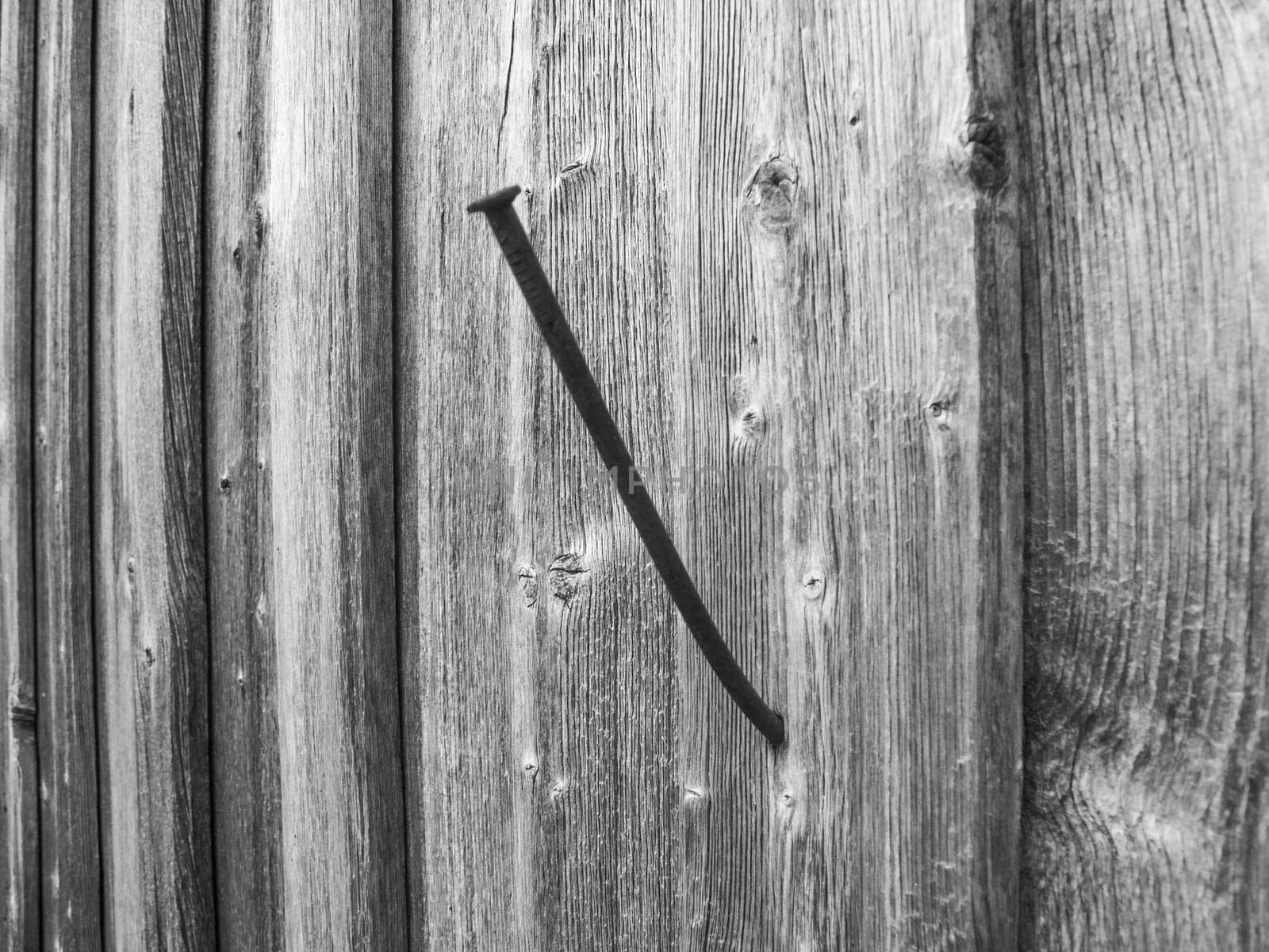 Close-up of a crooked and rusty nail in the exterior wall of a wooden barn in a monochrome look..