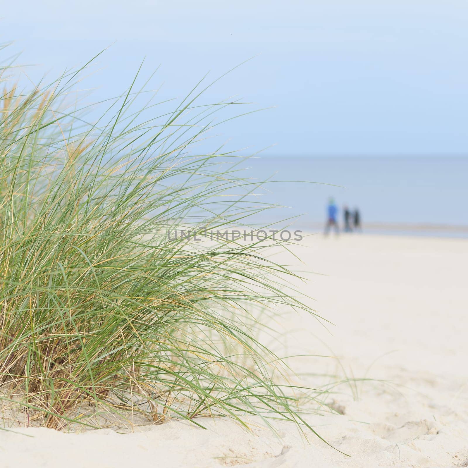 Beach on the coast of Swinoujscie on the Polish Baltic Sea coast. In the background blurry walkers.