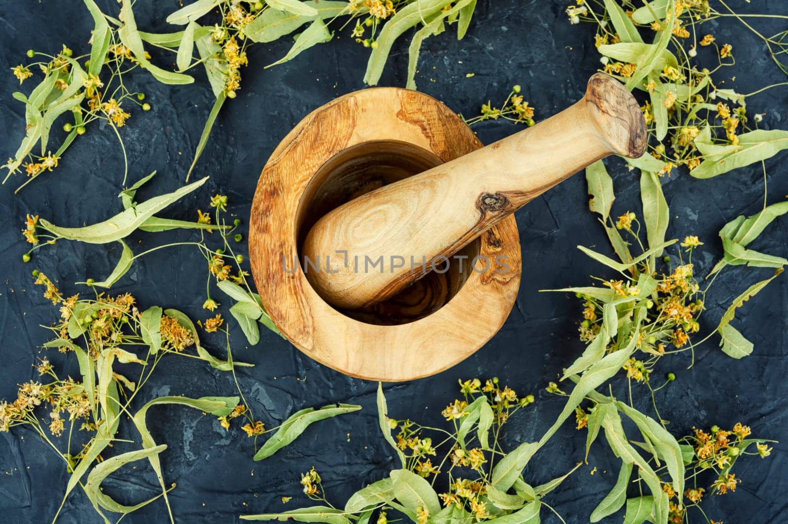 Healing inflorescences of linden or tilia, herbal medicine, medicinal plants.