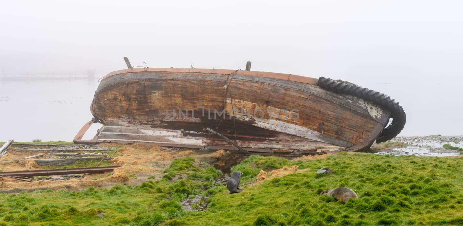 Wrecks of old whaling boats in Grytviken South Georgia in fog
