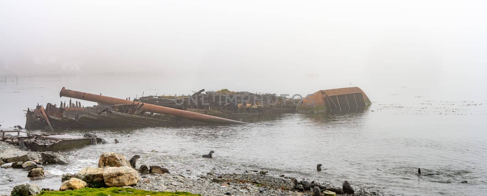 Wrecks of old whaling boats in Grytviken South Georgia in fog