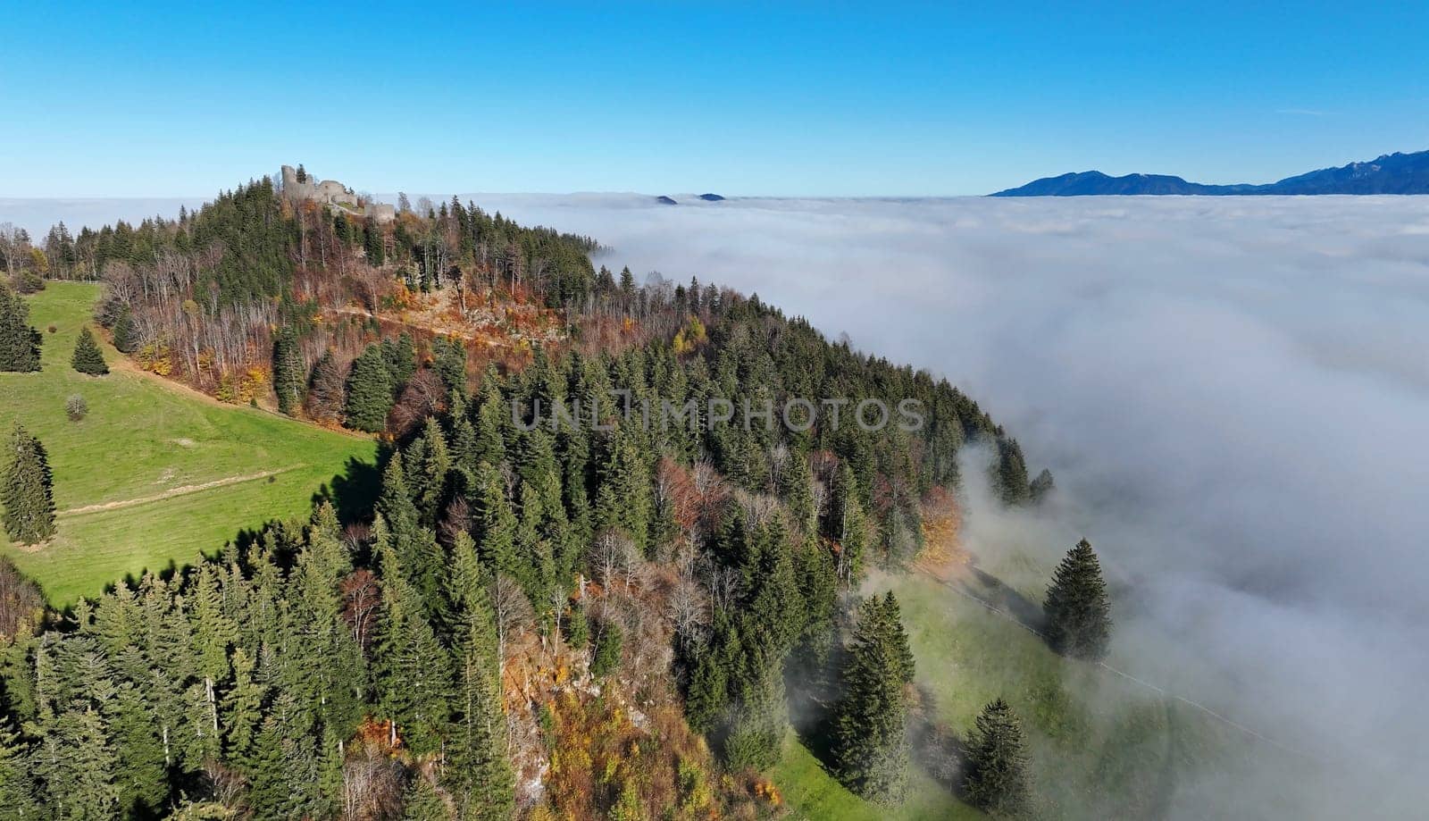 Aerial shot with drone of forest in autumn with fog in Bavaria