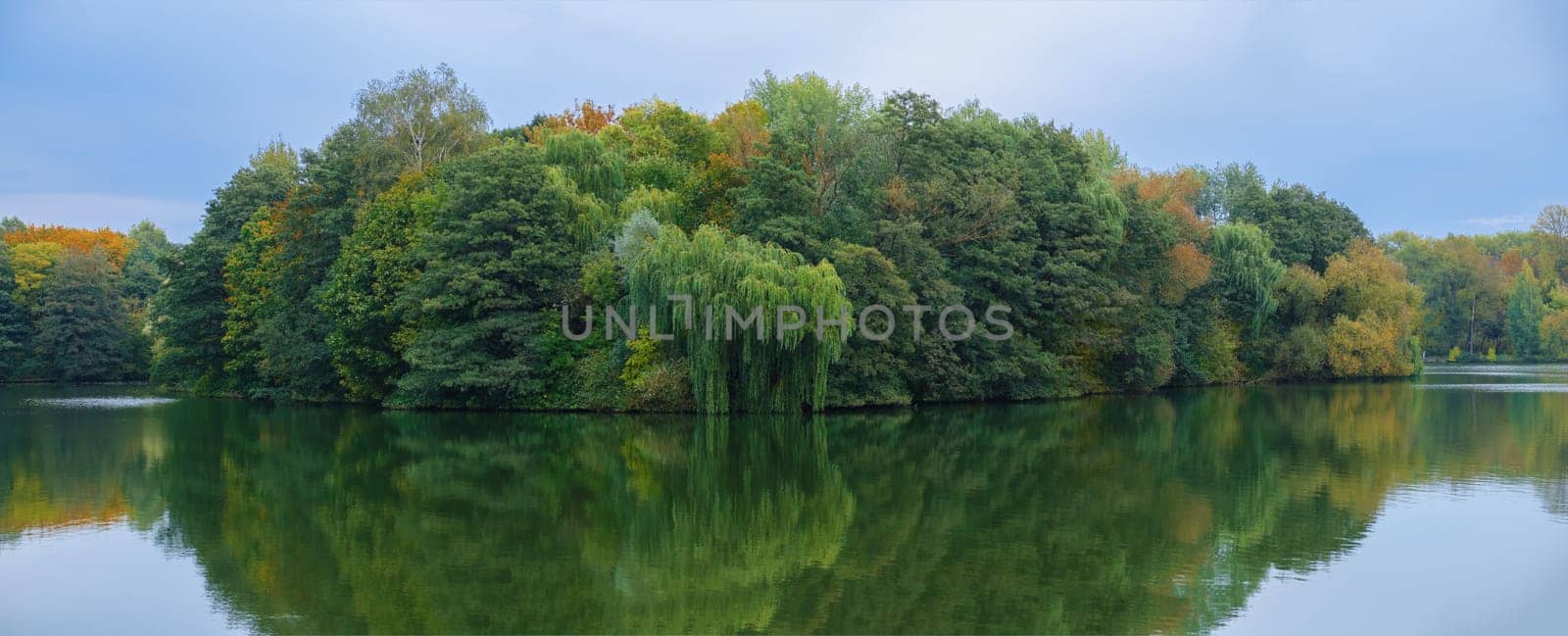 Island overgrown with trees. Wild nature. Photo taken from a boat.