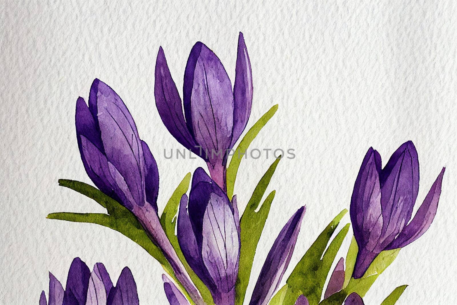Crocus sativus, commonly known as saffron crocus, or autumn crocus, is a species of flowering plant of the Crocus genus in the iris family Iridaceae.
