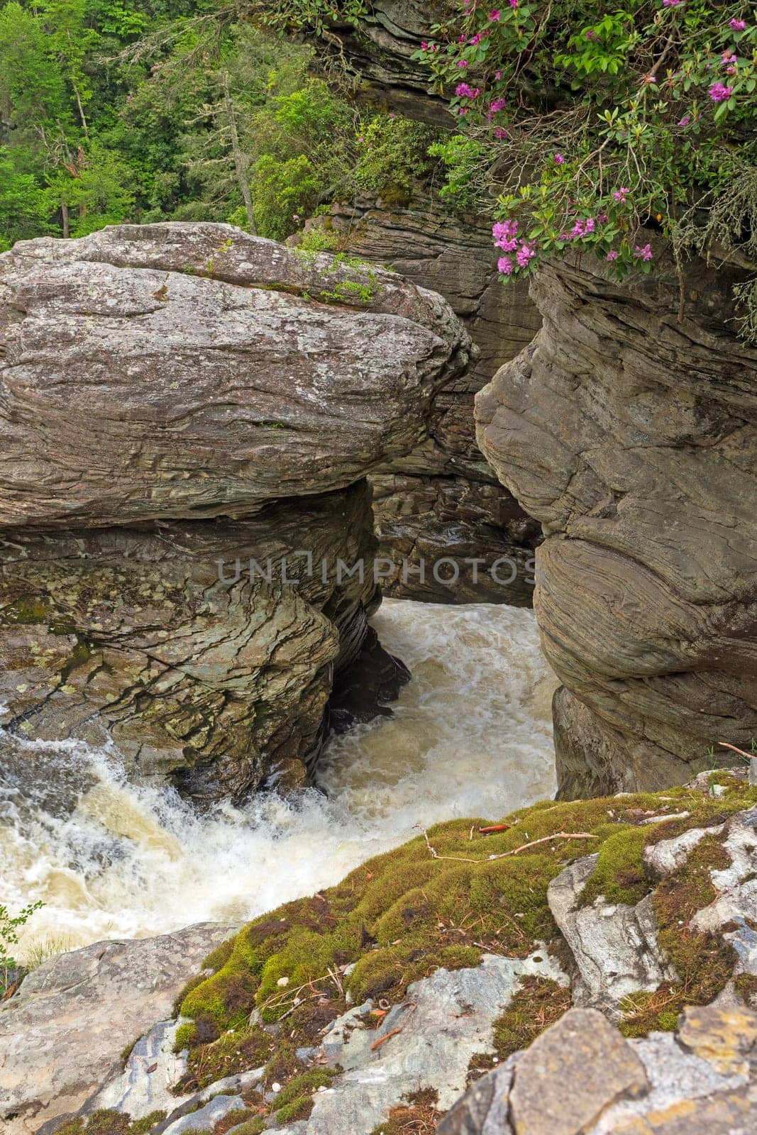 Water Tumbling Down a Narrow Chute in the Linville Gorge in North Carolina