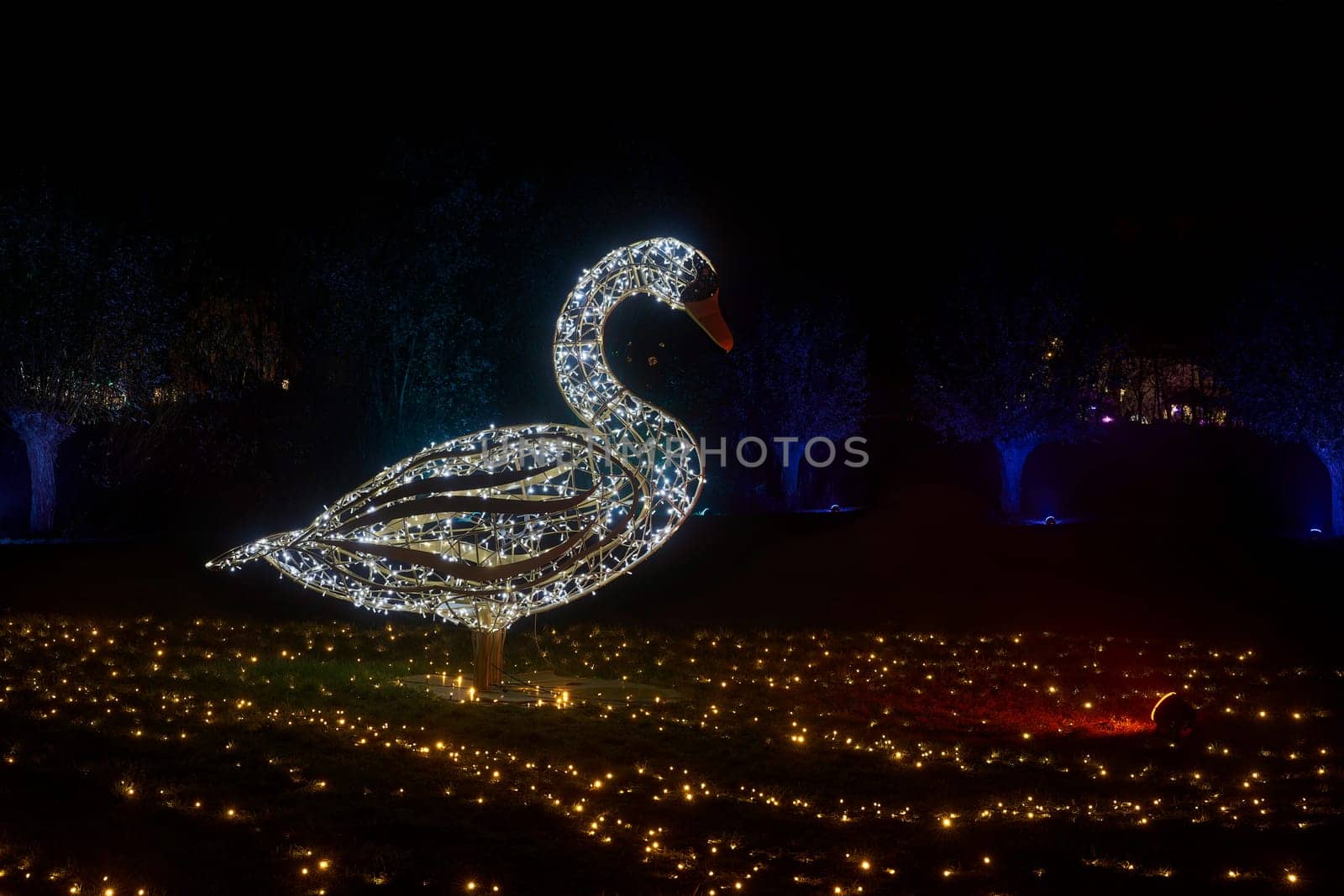 an illuminated Swan made of fairy lights at the Lumagica light installation in the Elbauenpark in Magdeburg to set the mood for the Christmas season