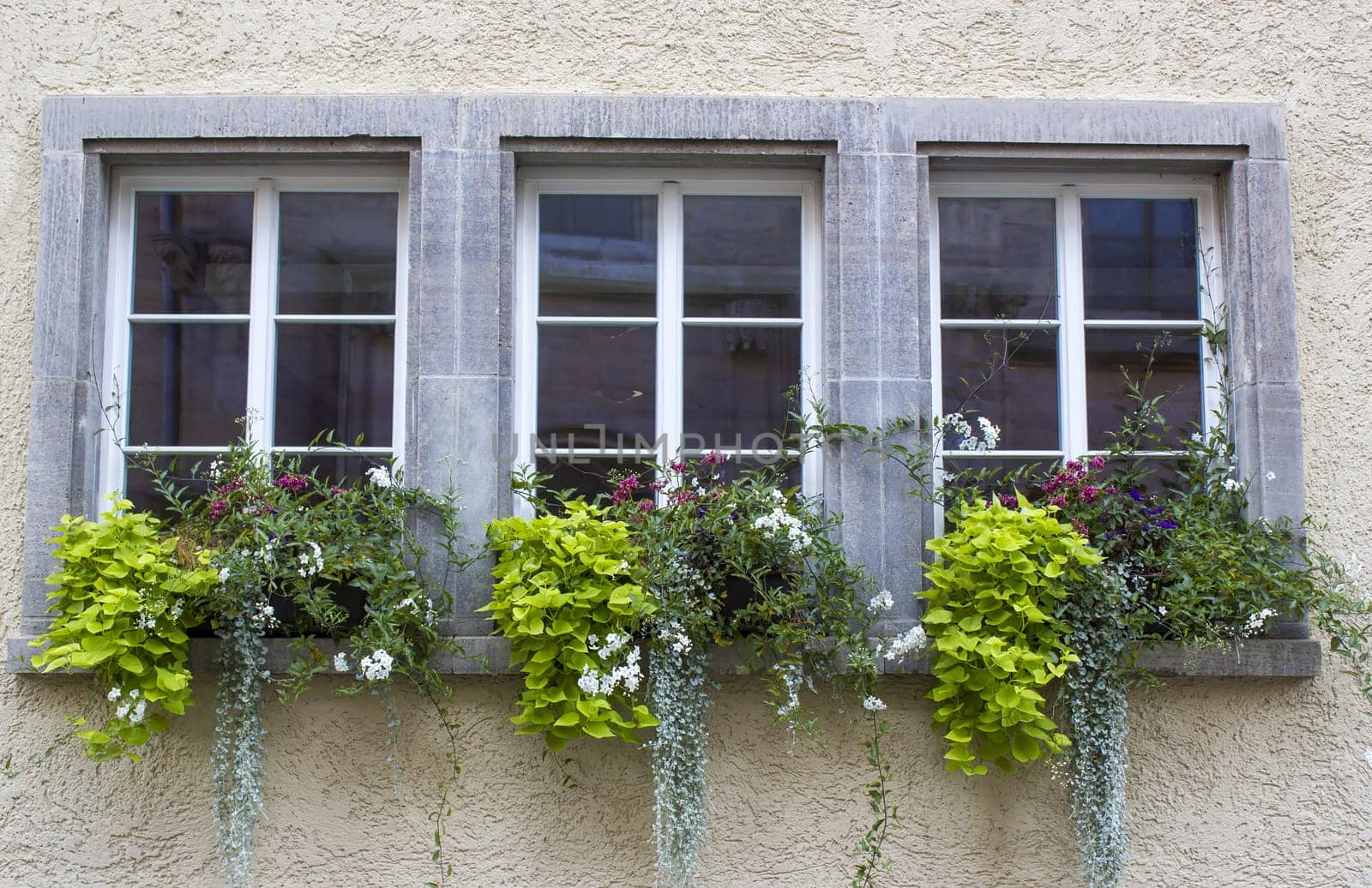 Old house in Saalfeld - windows with flowers, Germany