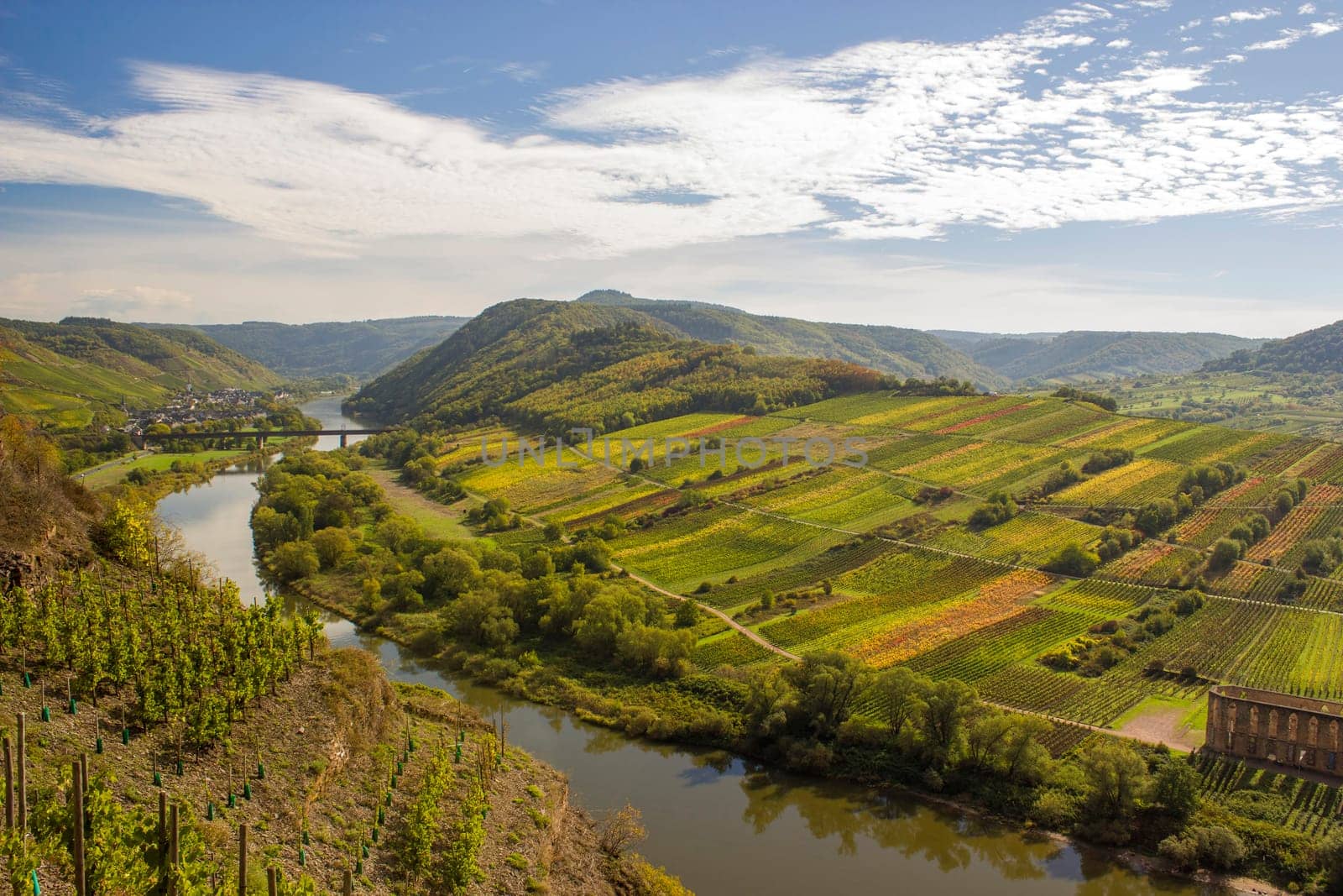 Moselle River in Germany, view of Calmont village and vineyards in the Mosel river valley, Germany