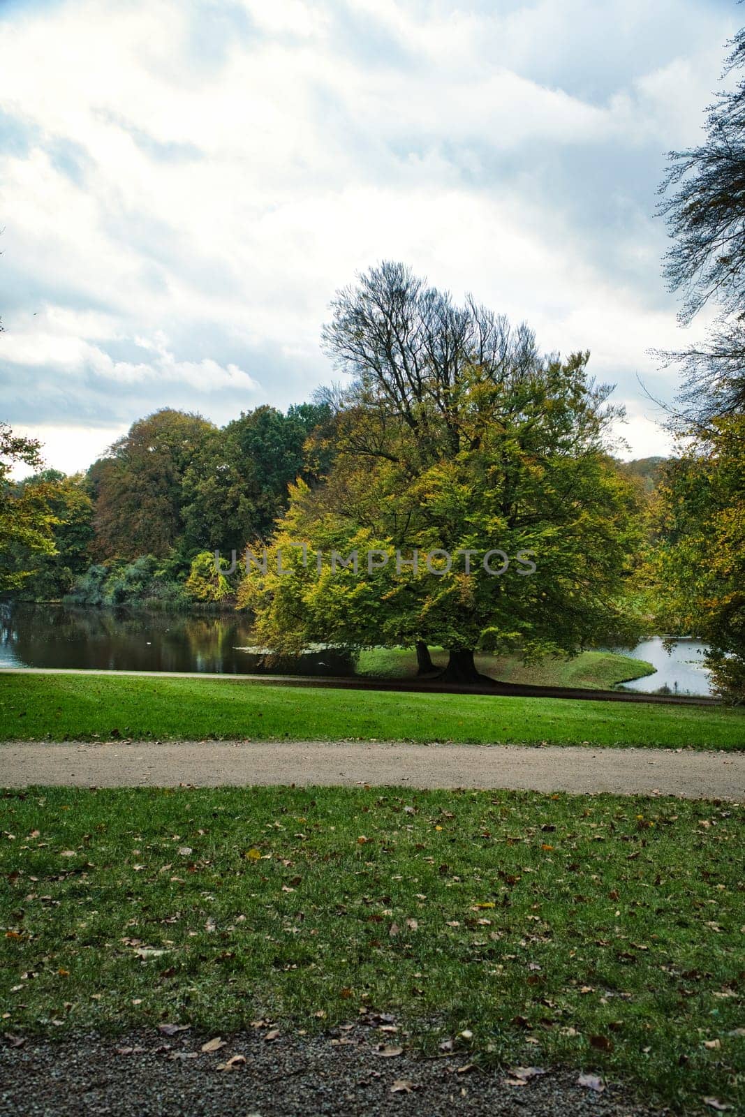 Frederiksborg Castle Park in autumn with mighty deciduous trees on the garden meadows. Colorful colors of the leaves. Walk in Denmark