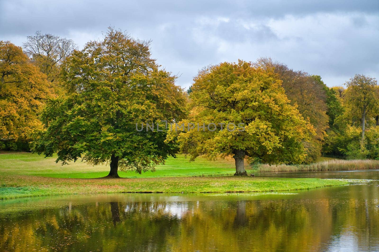Frederiksborg Castle Park in autumn with mighty deciduous trees they are reflected in the created lake. Bright colors of the leaves. Walk in Denmark