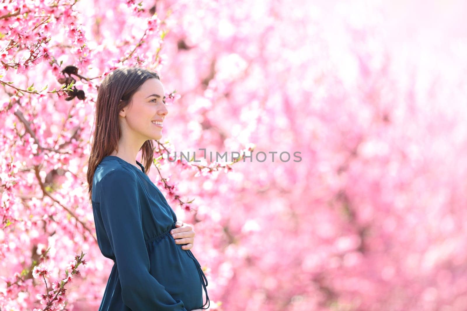 Profile of a pregnant woman in a pink background