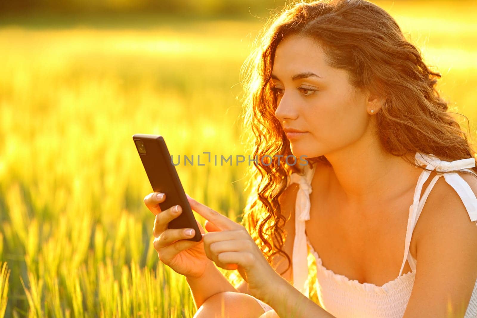 Woman checks smart phone at sunset in a wheat field at sunset