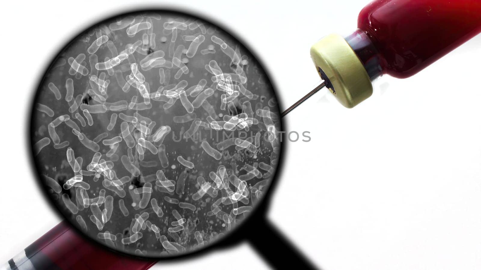 Searching for bacteria in blood,Searching for bacteria in blood