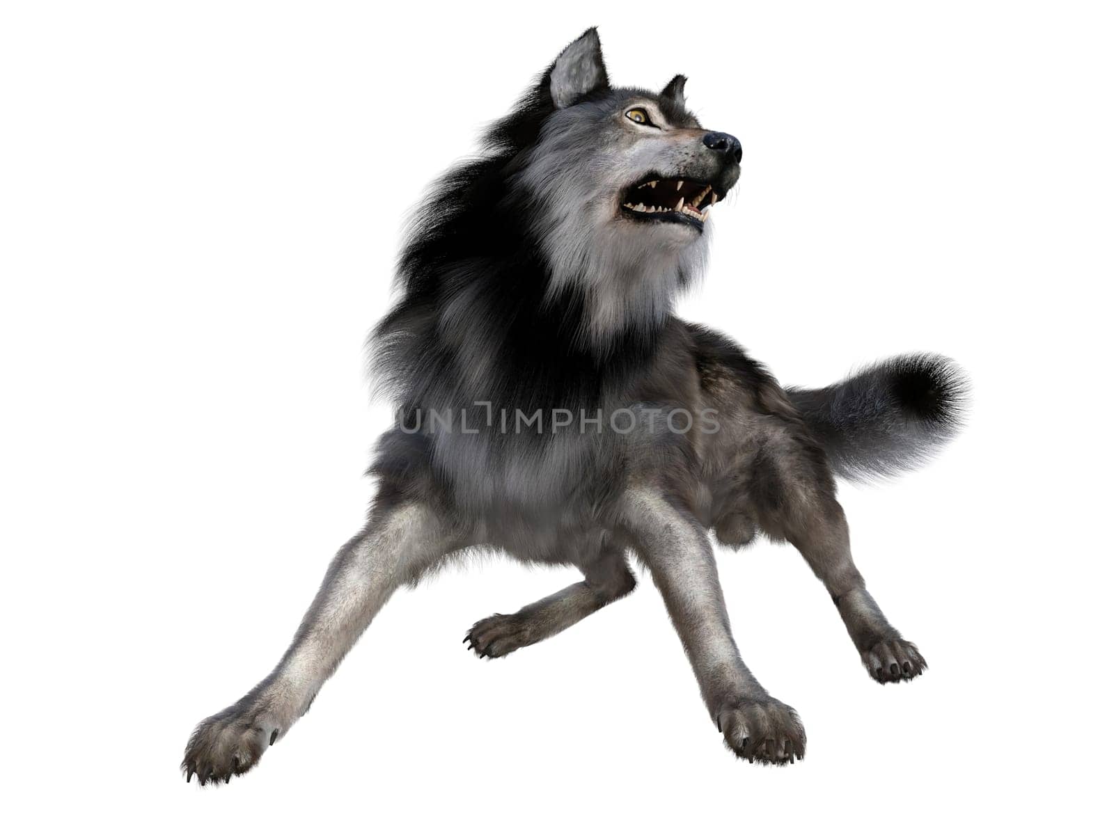The carnivorous Dire Wolf lived in North and South America during the Pleistocene Period.