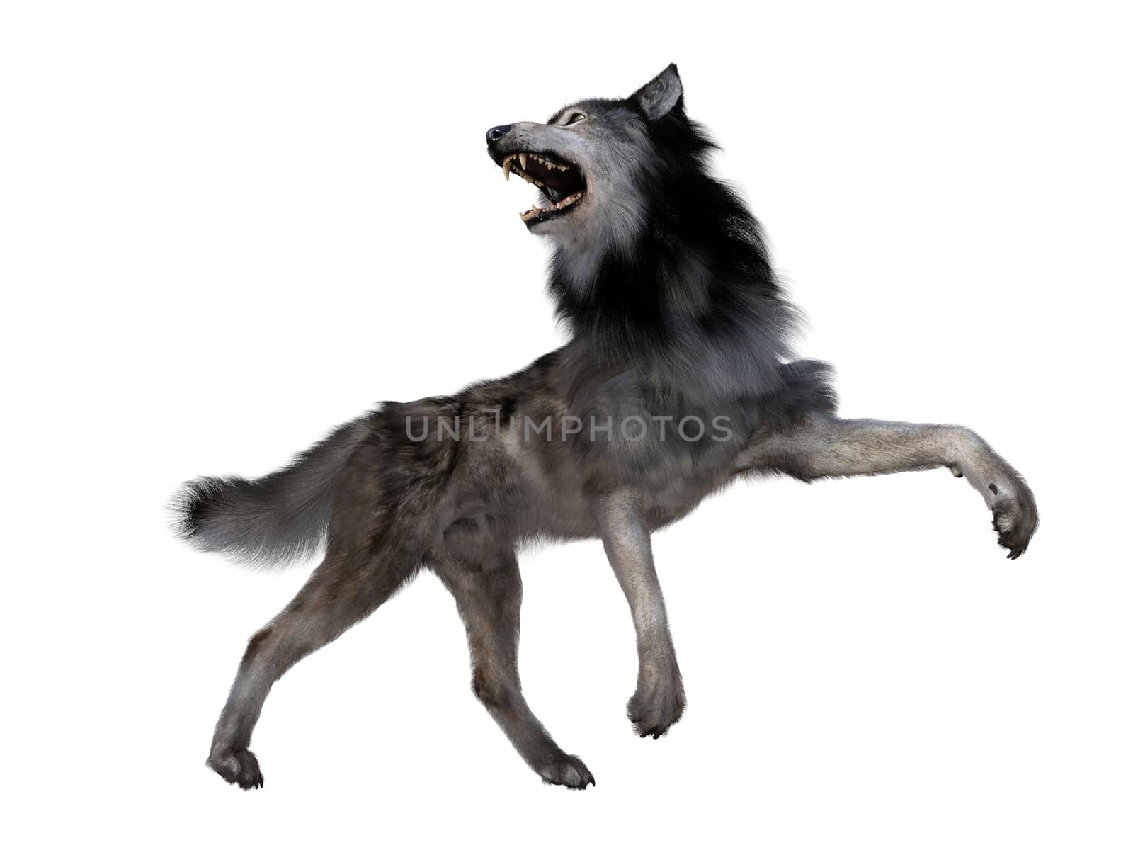 The carnivorous Dire Wolf lived in North and South America during the Pleistocene Period.