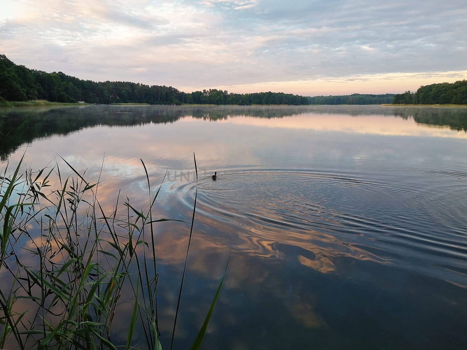 Dawn at Lübbesee near Templin, Brandenburg, Germany