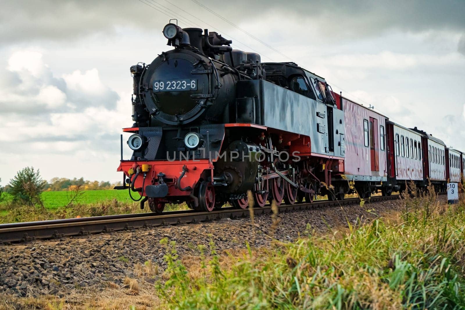 Narrow gauge steam locomotive Molli, Mecklenburg-West Pomerania, Germany