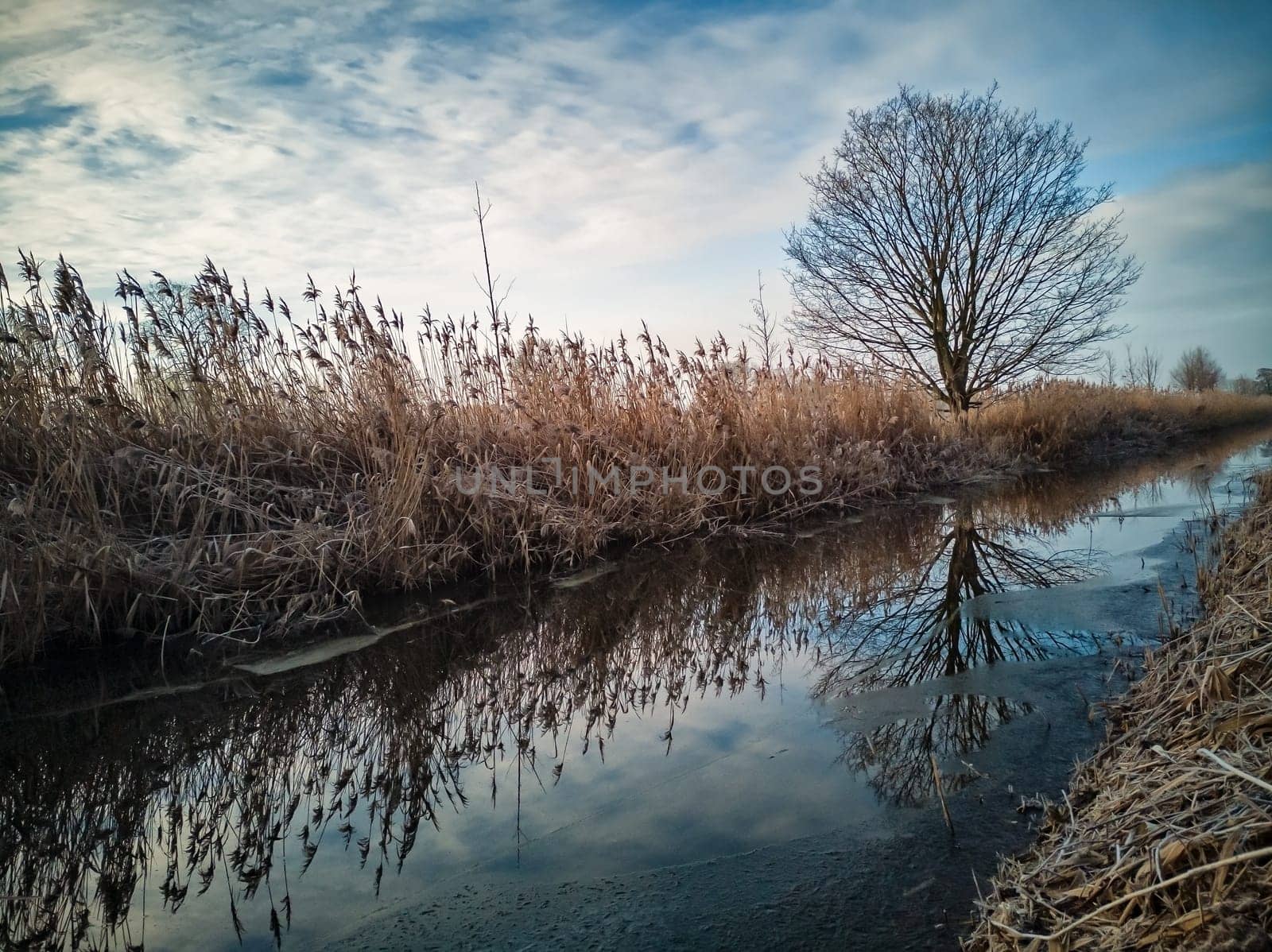 small canal in Brandenburg countryside, Germany