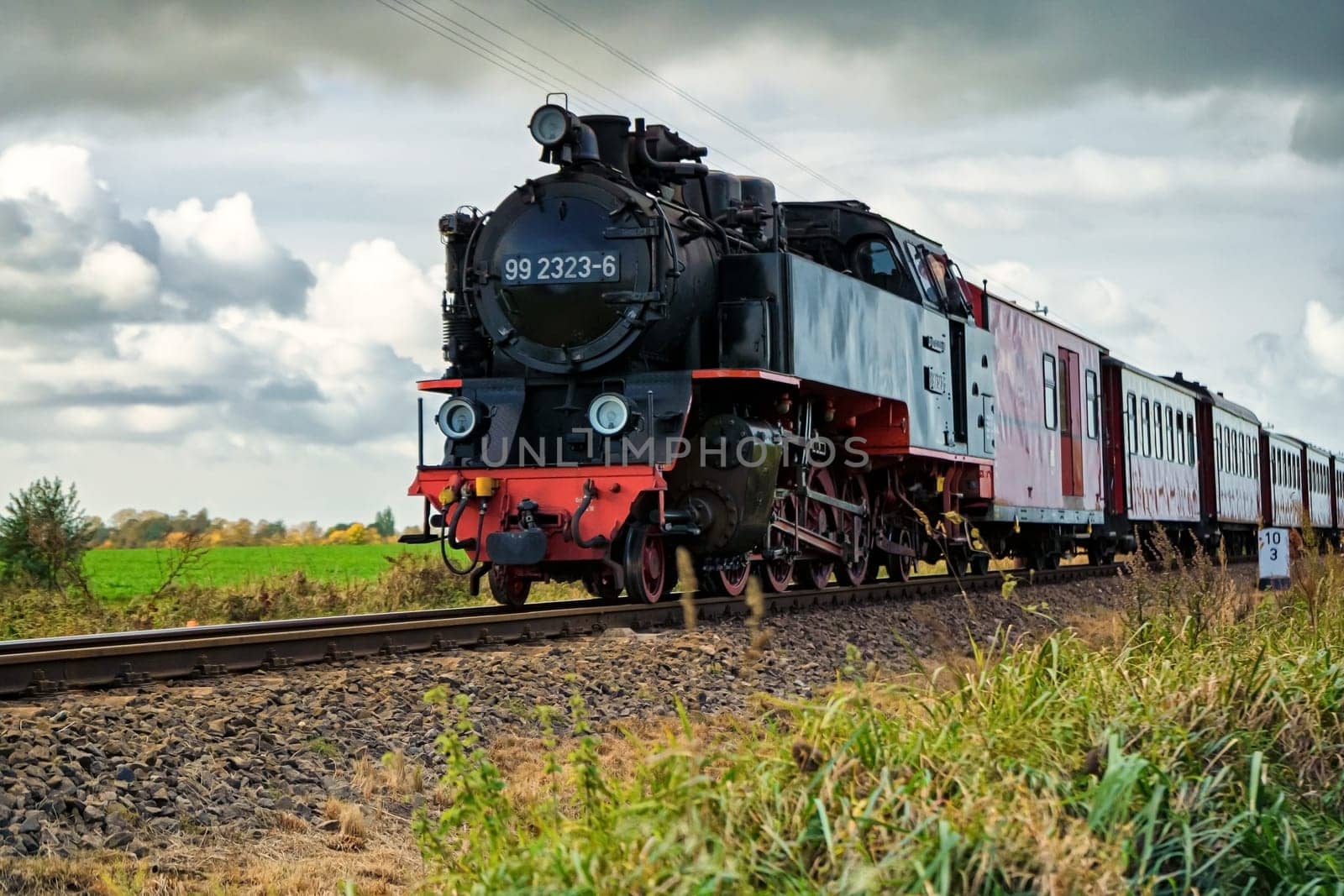 Narrow gauge steam locomotive Molli, Mecklenburg-West Pomerania, Germany