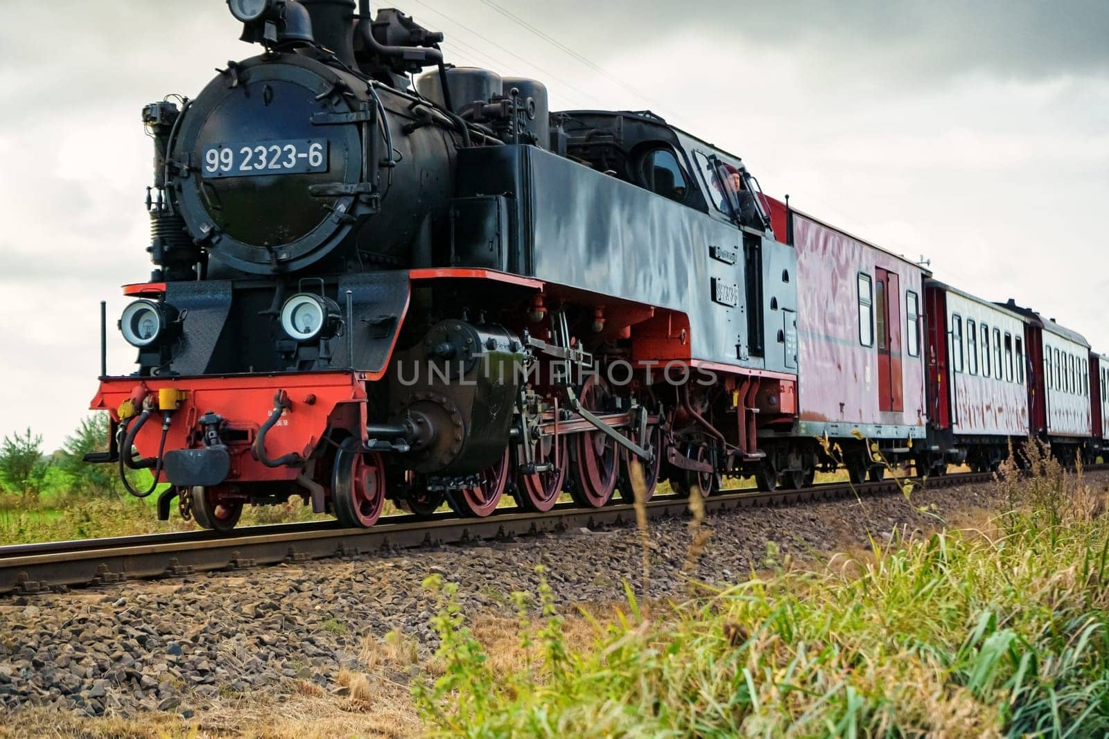Narrow gauge steam locomotive Molli, Mecklenburg-West Pomerania, Germany