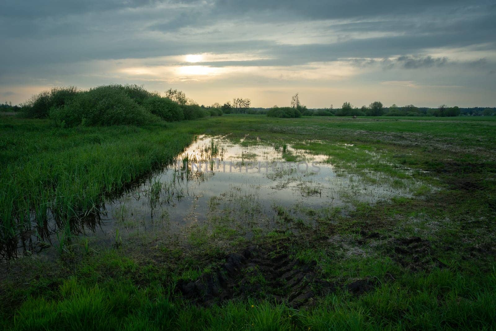 Rainwater in the field and evening clouds in the sky, spring view