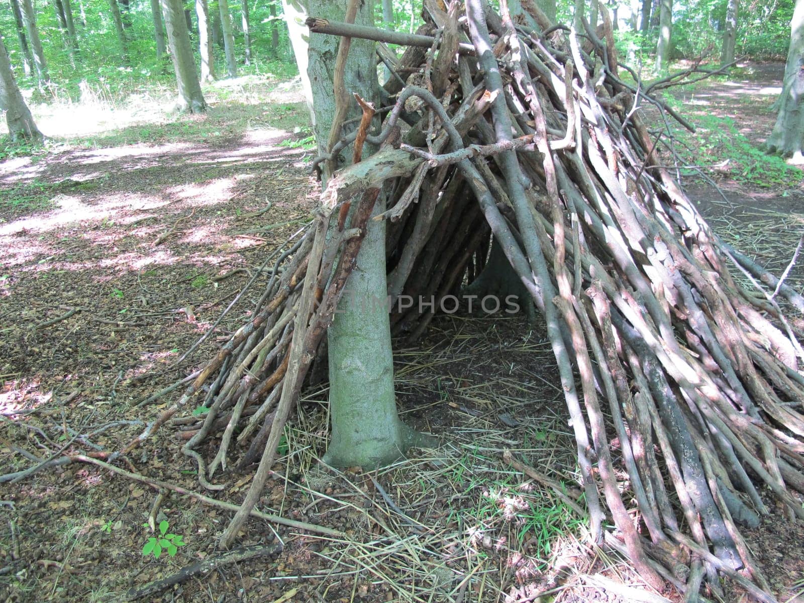 Self-constructed bushcraft shelter from branches in forest