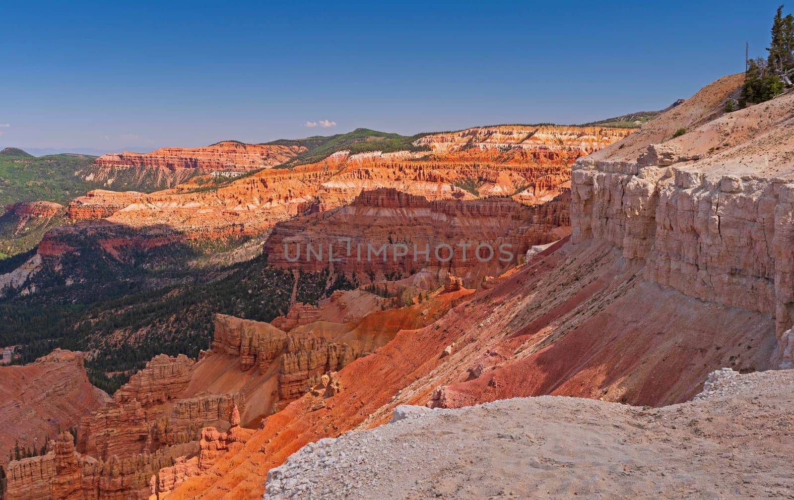 Delicate Colors in Morning Shadows at Cedar Breaks National Monument in Utah