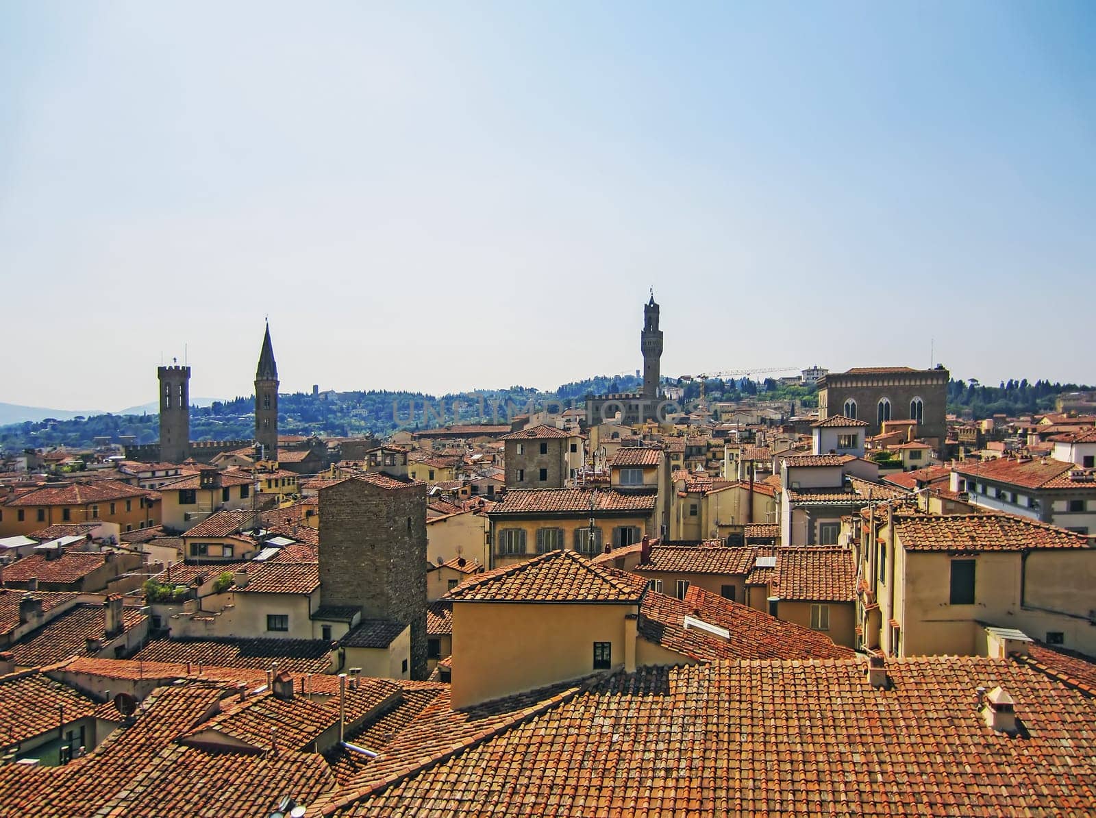 View of Florence from tower, Italy