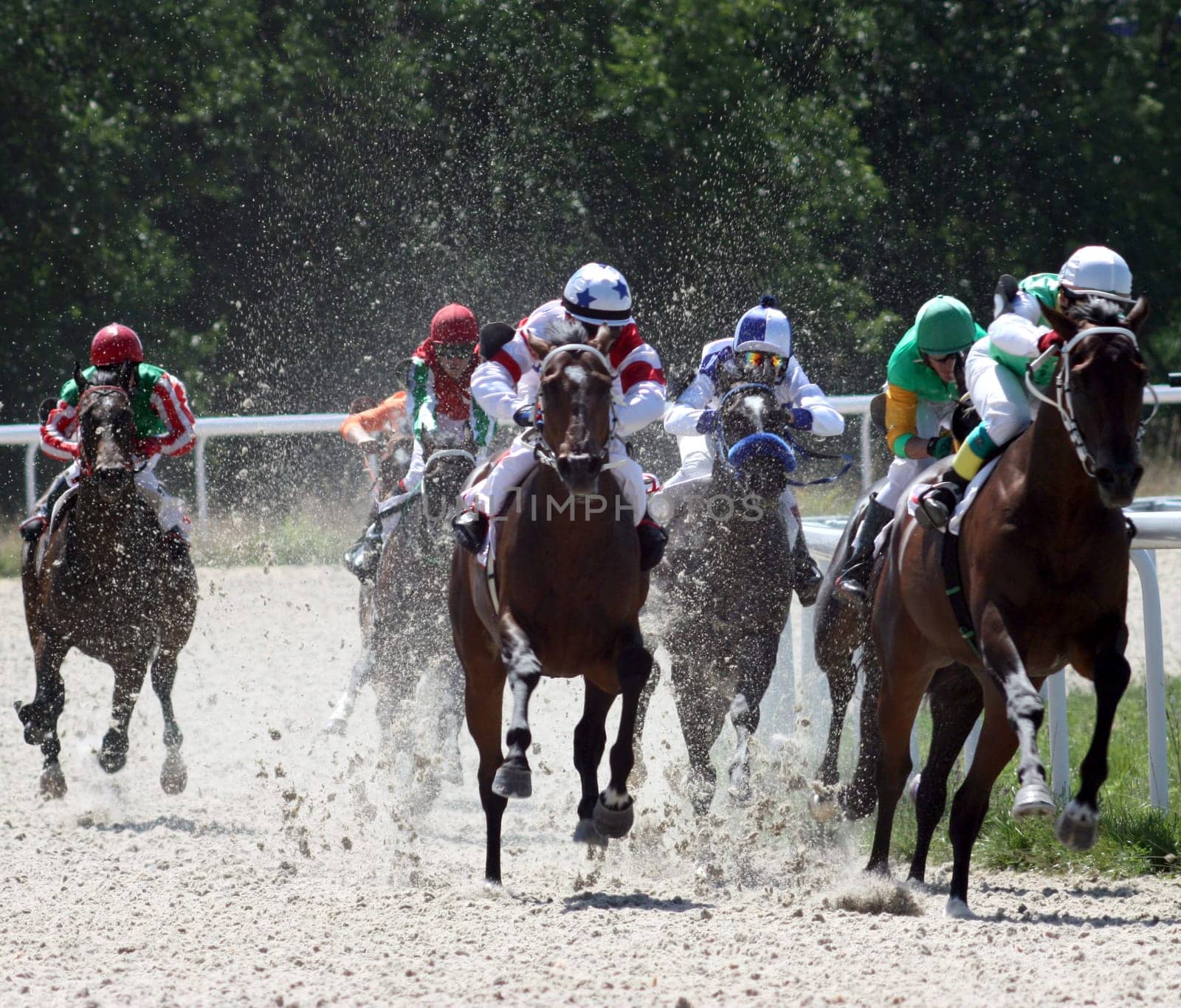 Race for the prize of the "Elita"" in Pyatigorsk,Northern Caucasus, Russia."