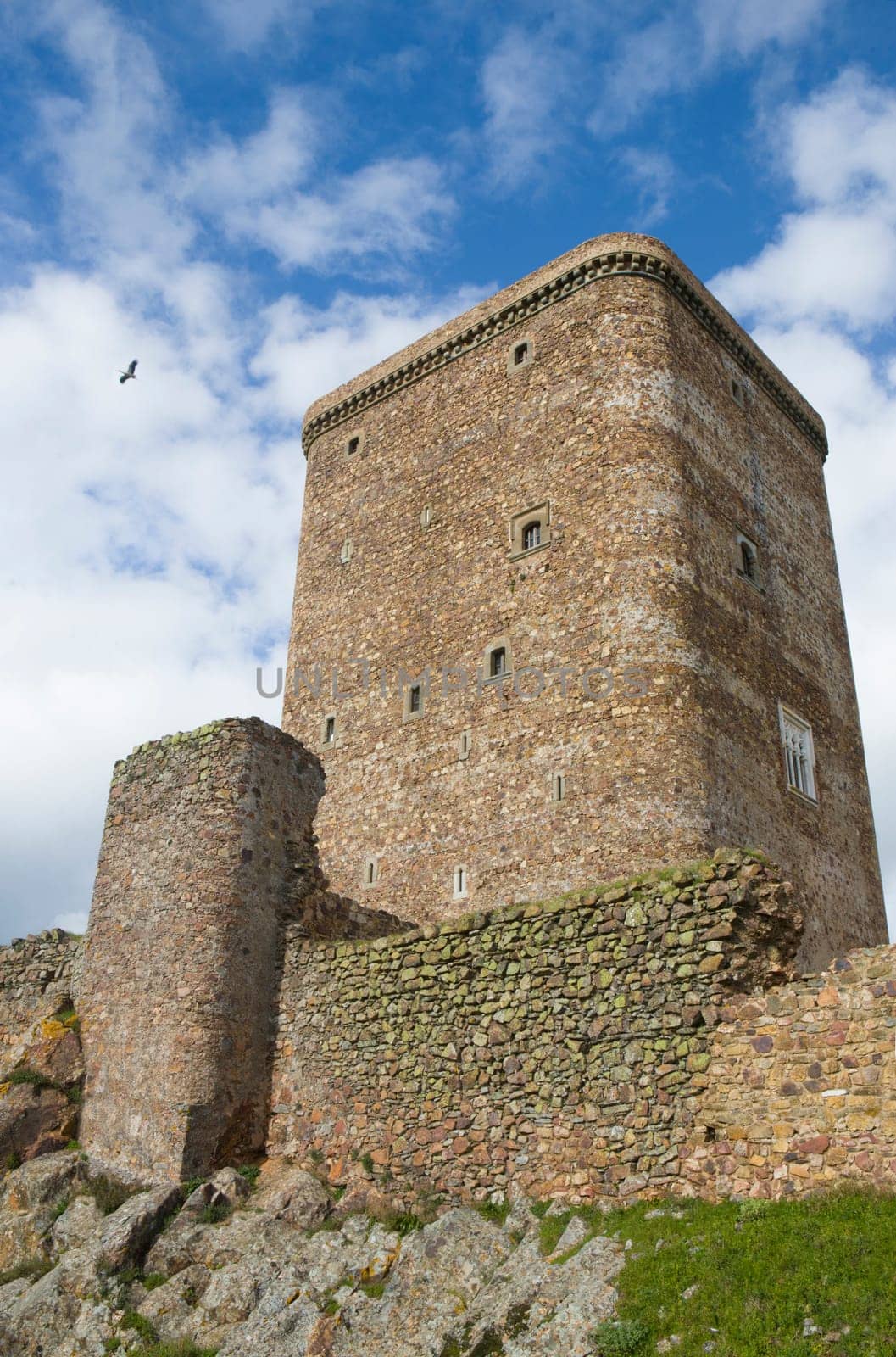 White stork overflying the stronghold of Feria, one of the most remarkable castle in Extremadura, Spain