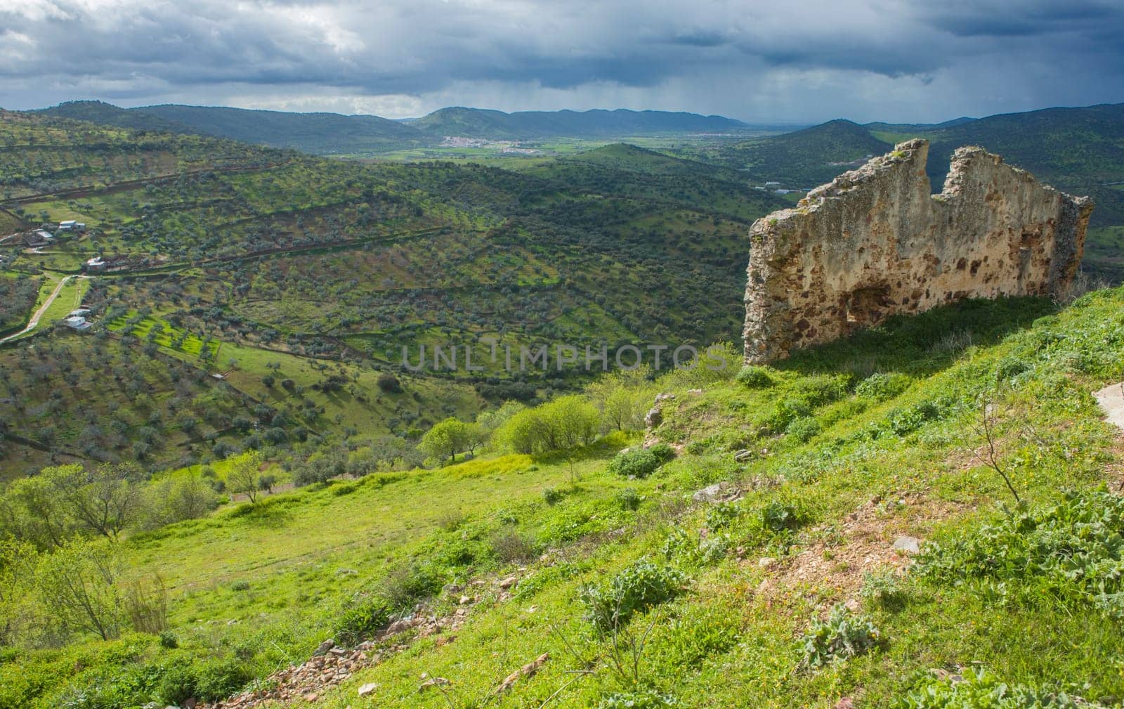 Buiding remains beside Feria castle hill, Spain. Fields of farming with olive trees and typical dehesa pastoral management fields.