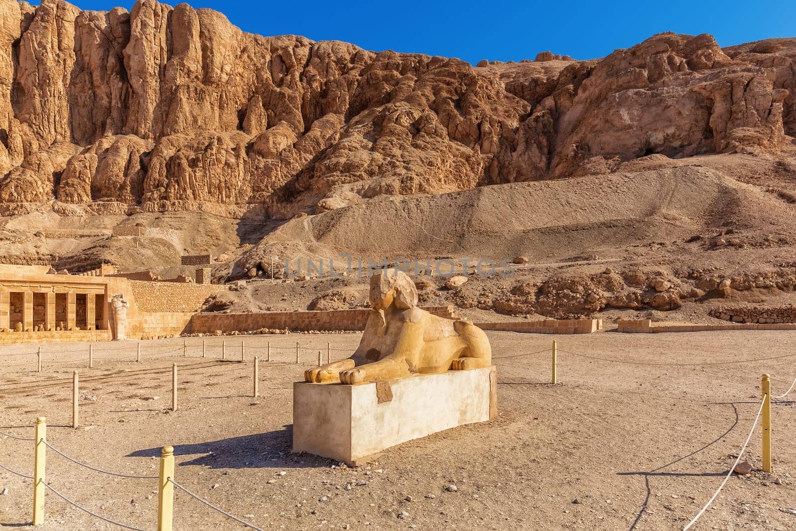 Sphinx Statue in front of Hatshepsut Temple, Luxor, Egypt.