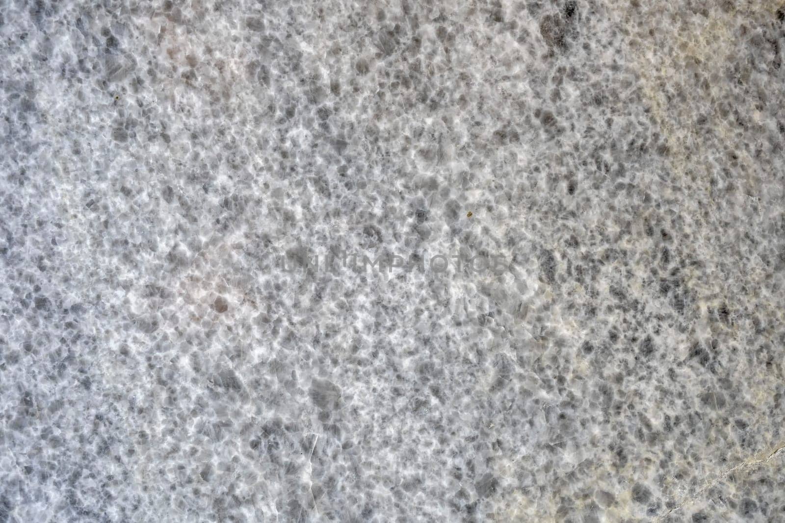 Dark grey background texture for text area and lifestyle  in close up